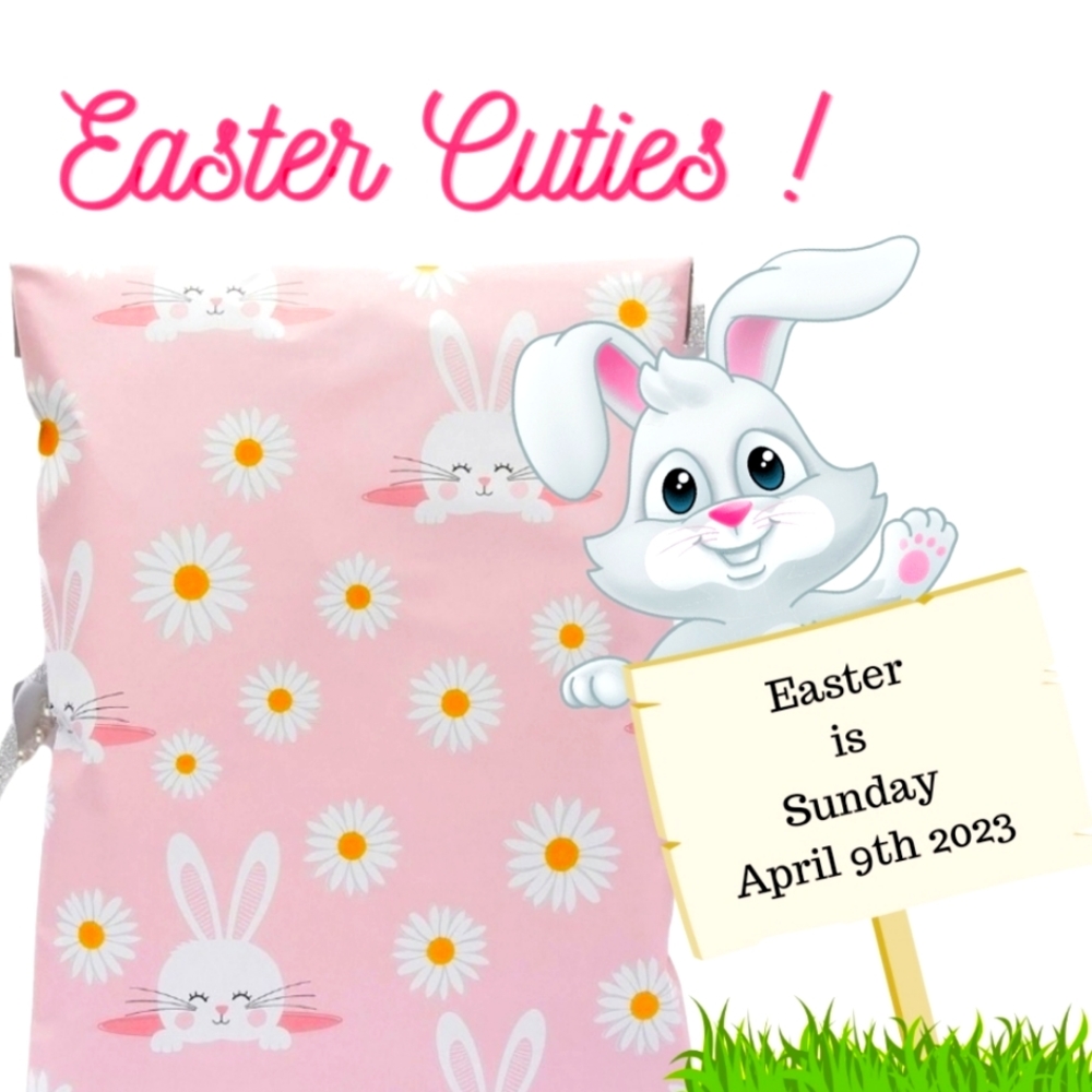 Poly mailers Bunnies and daisies 10x13 with cards